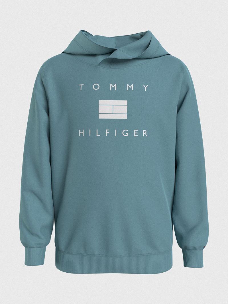 Aqua Tommy Hilfiger Hilfiger Hoodies | NZ_B2022