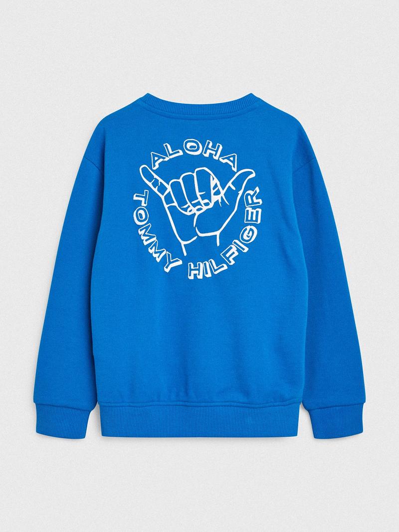 Blue Tommy Hilfiger Aloha Sweatshirts | NZ_G1186