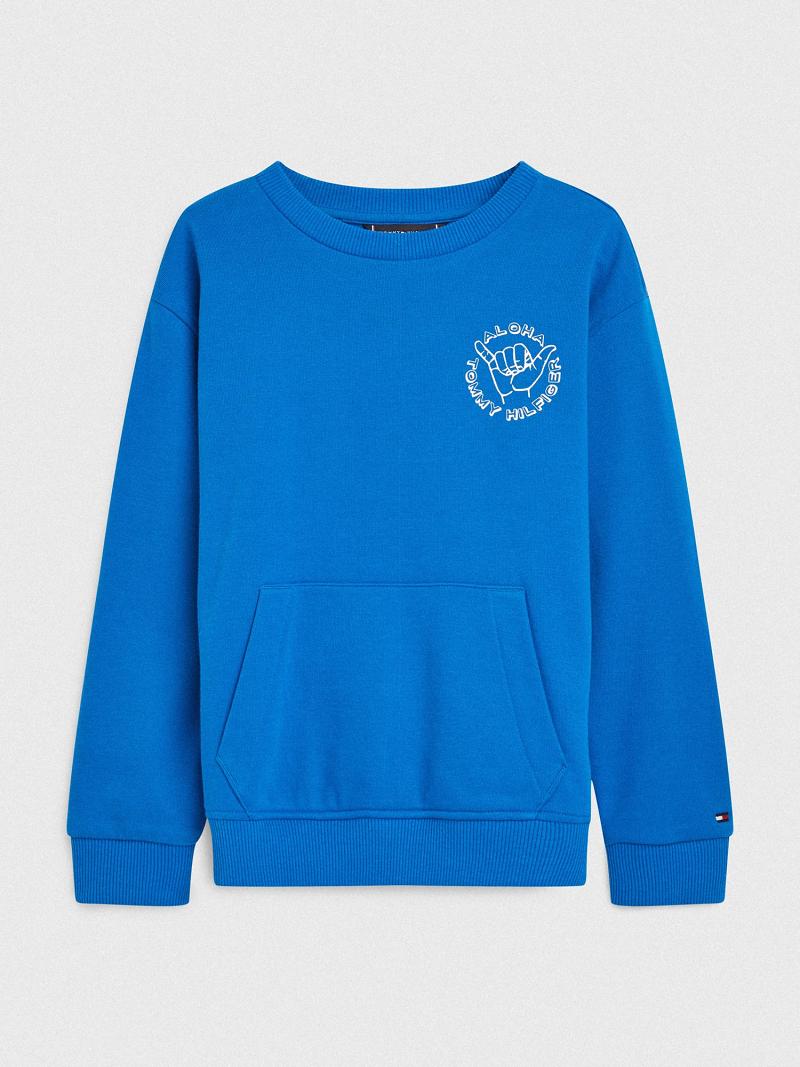 Blue Tommy Hilfiger Aloha Sweatshirts | NZ_G1186