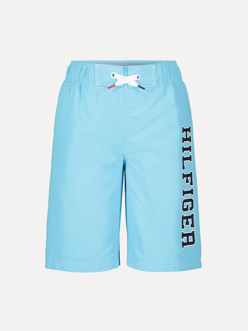 Blue Tommy Hilfiger Big Hilfiger Trunk Swimwear | NZ_B2145