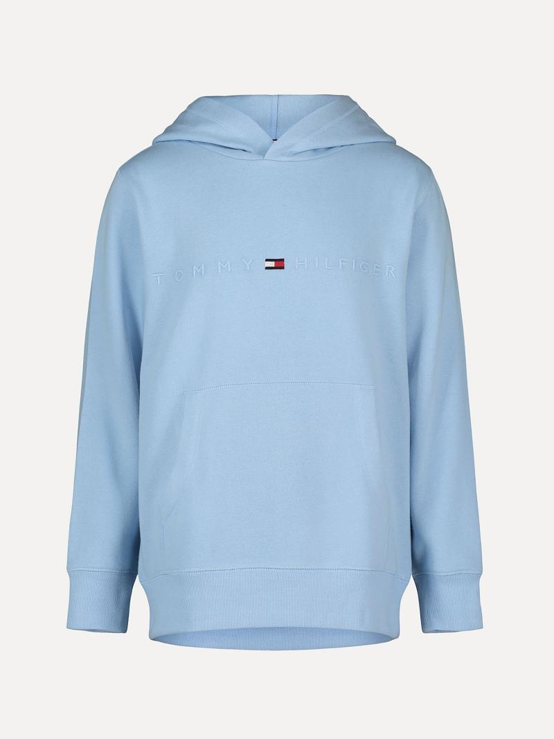 Blue Tommy Hilfiger Big Tonal Logo Hoodies | NZ_B2019