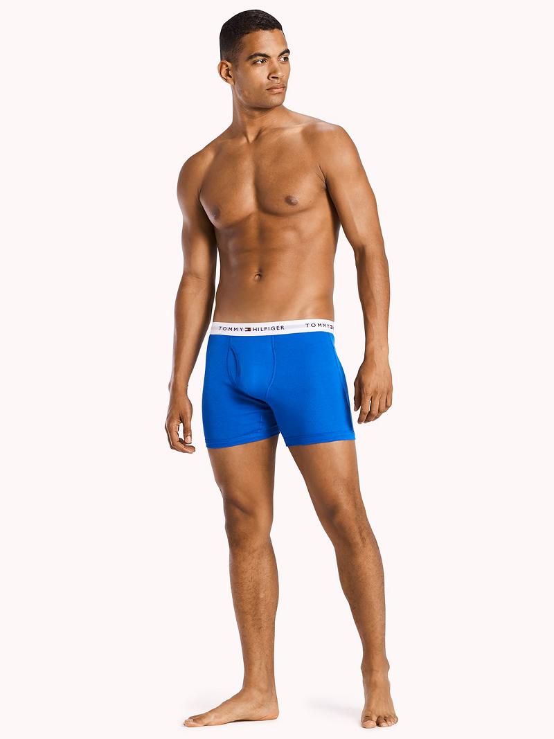 Blue Tommy Hilfiger Classic cotton boxer brief 3pk Boxer Briefs | NZ_M31573