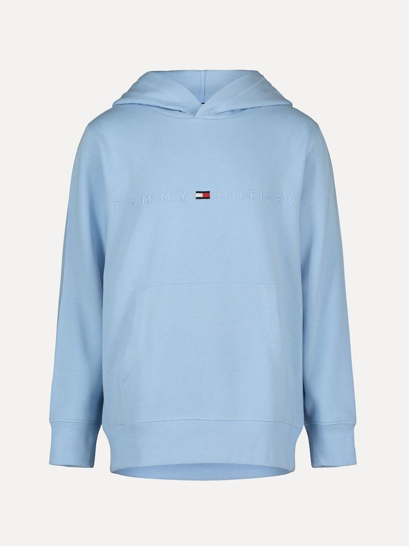 Blue Tommy Hilfiger Little Tonal Logo Hoodies | NZ_B2029