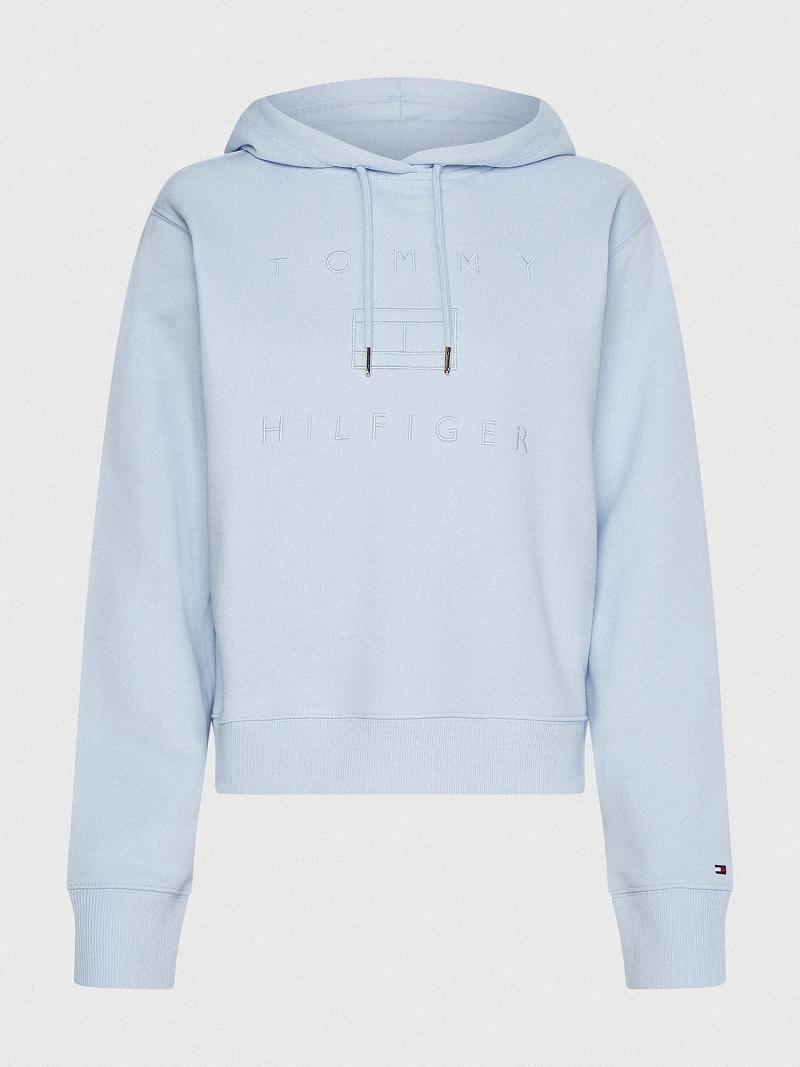 Blue Tommy Hilfiger Metallic Hoodies | NZ_W21153