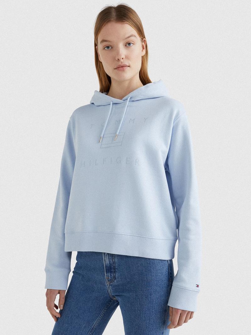 Blue Tommy Hilfiger Metallic Hoodies | NZ_W21153