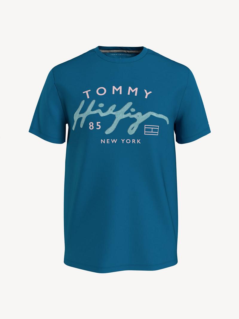 Blue Tommy Hilfiger Script T Shirts | NZ_M31066