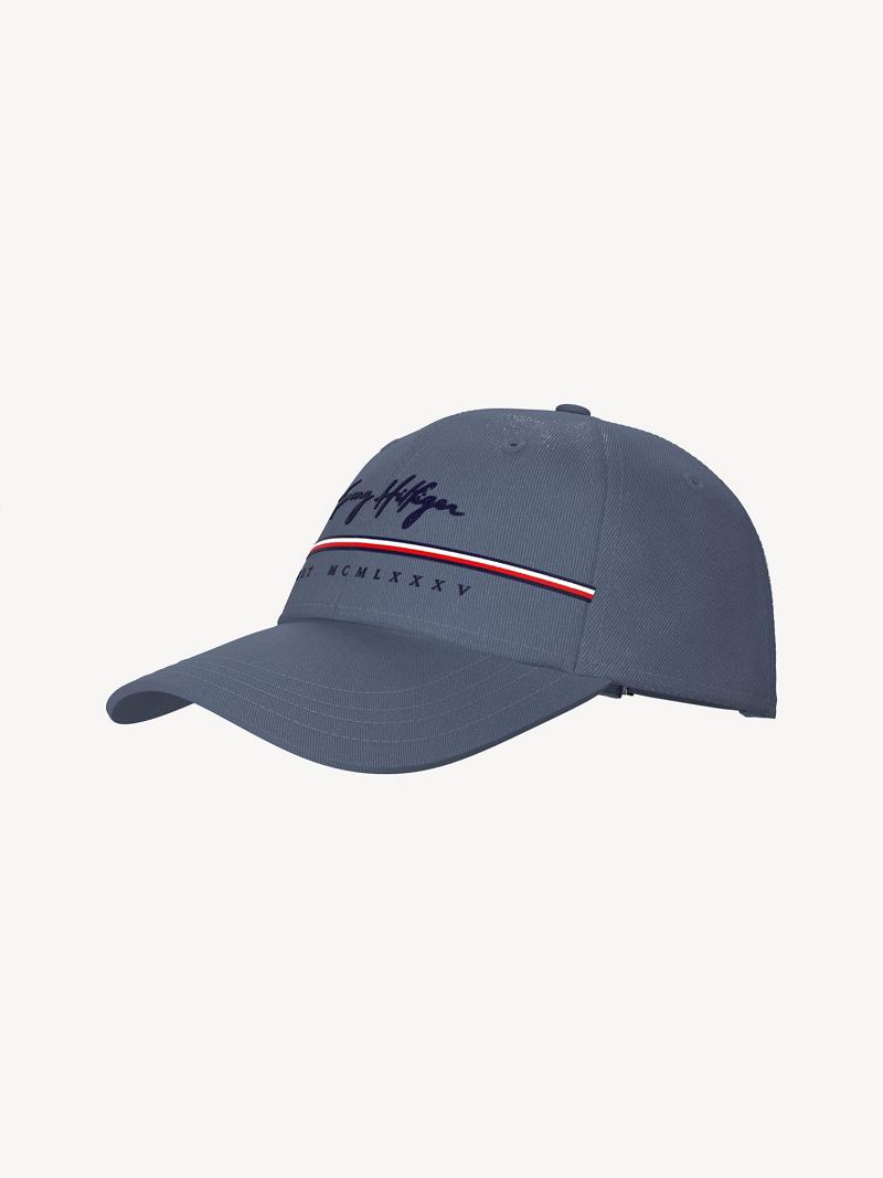 Blue Tommy Hilfiger Signature Stripe Hats | NZ_M31736