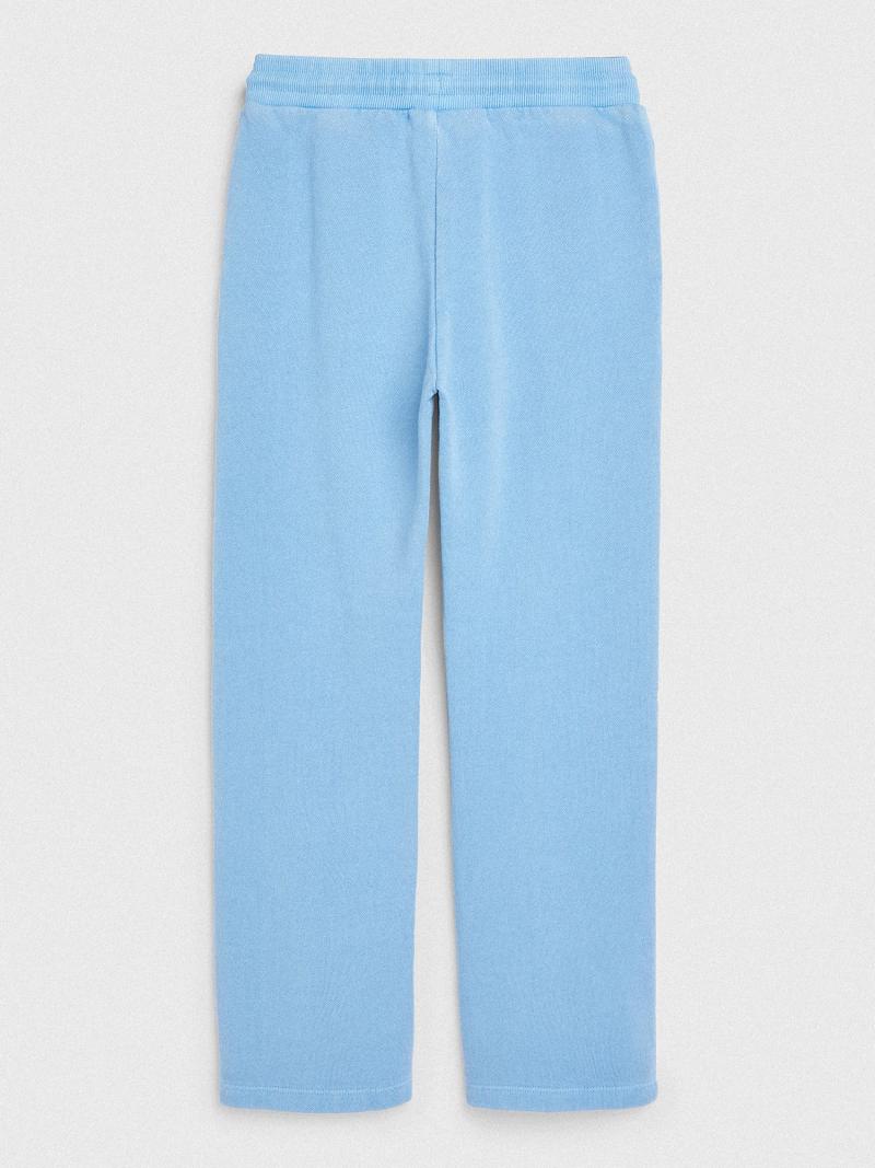 Blue Tommy Hilfiger Solid Sweatpants | NZ_G1184