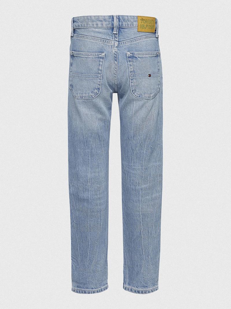 Blue Tommy Hilfiger Straight Jeans | NZ_B2049