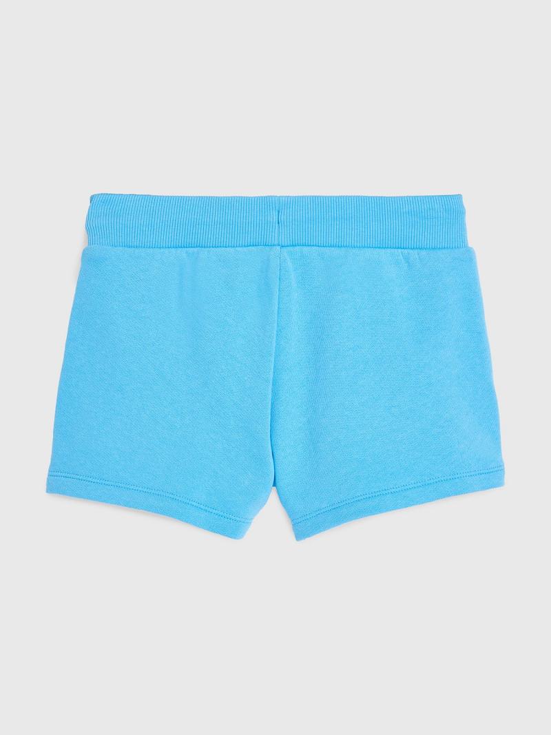 Blue Tommy Hilfiger Varsity Shorts | NZ_G1165