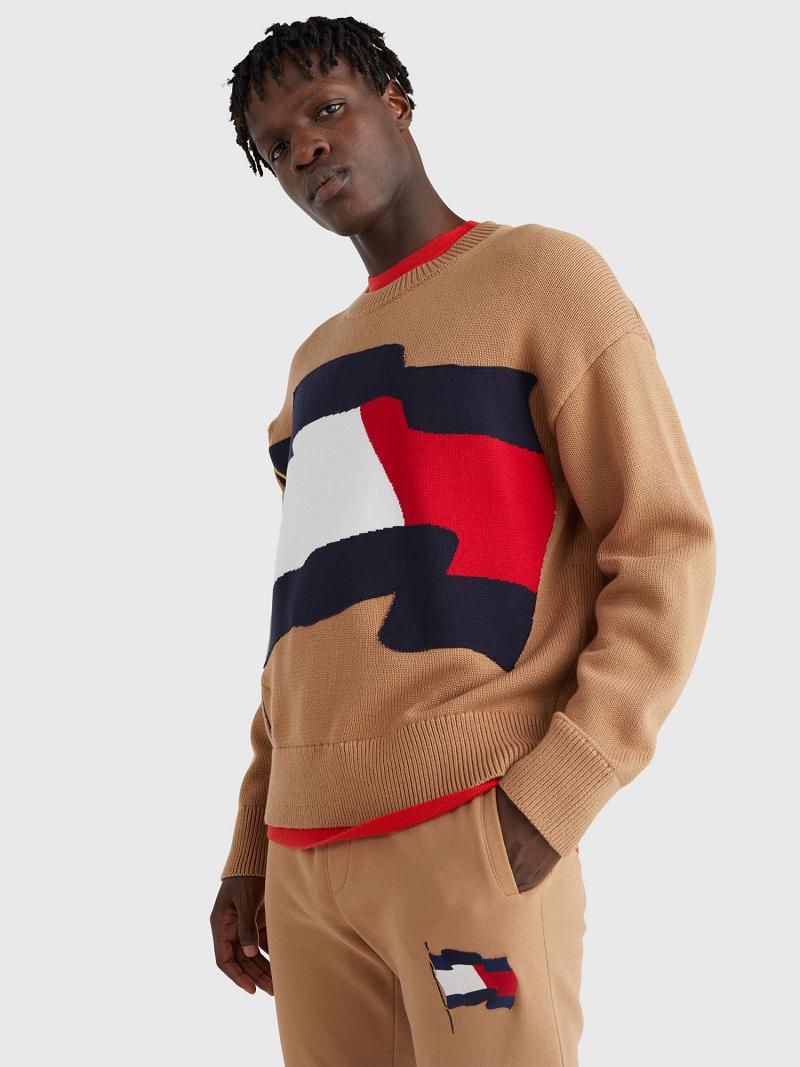 Brown Tommy Hilfiger Wavy flag crewneck Sweaters | NZ_M31178