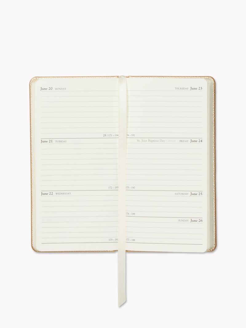 Gold Tommy Hilfiger Weekly Planner Technology | NZ_M31801