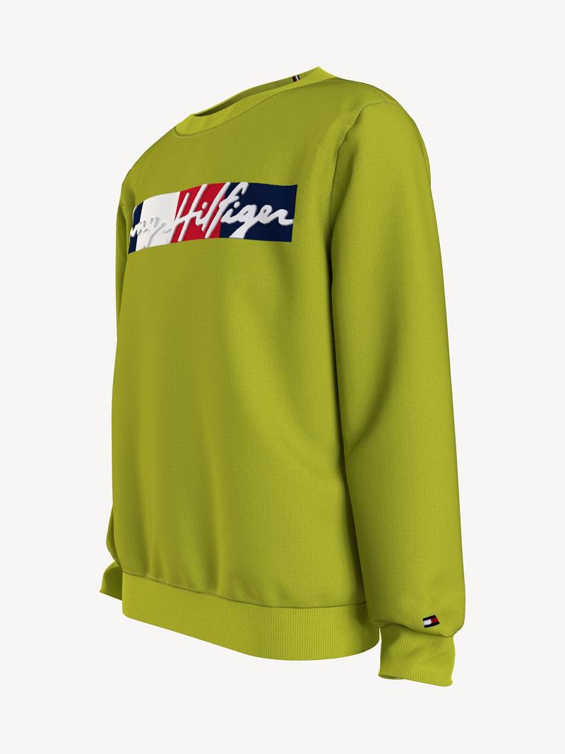 Green Tommy Hilfiger Signature Sweatshirts | NZ_G1211