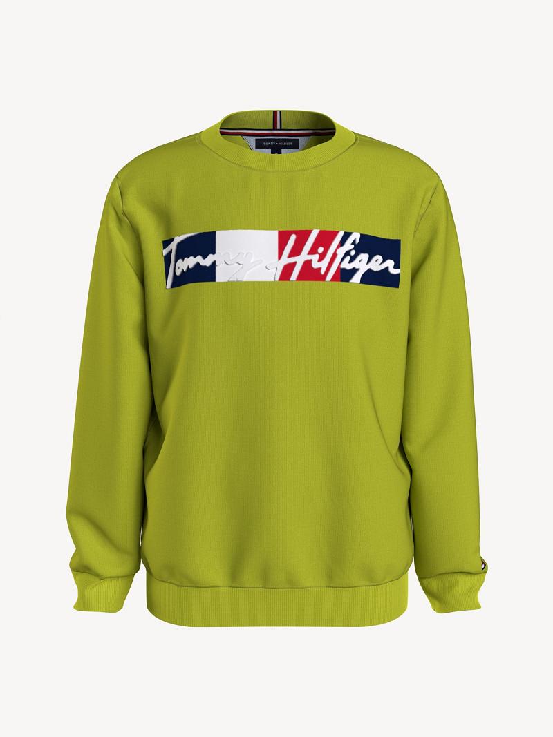 Green Tommy Hilfiger Signature Sweatshirts | NZ_G1211