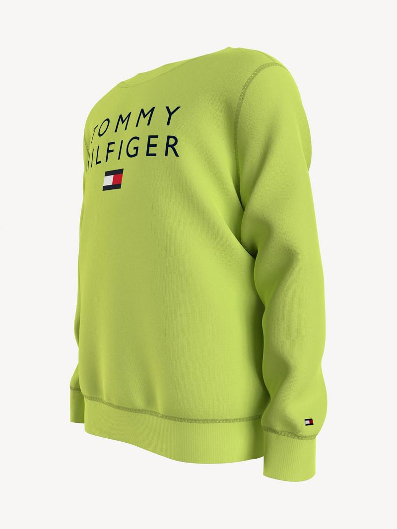 Green Tommy Hilfiger Tommy Sweatshirts | NZ_B2139