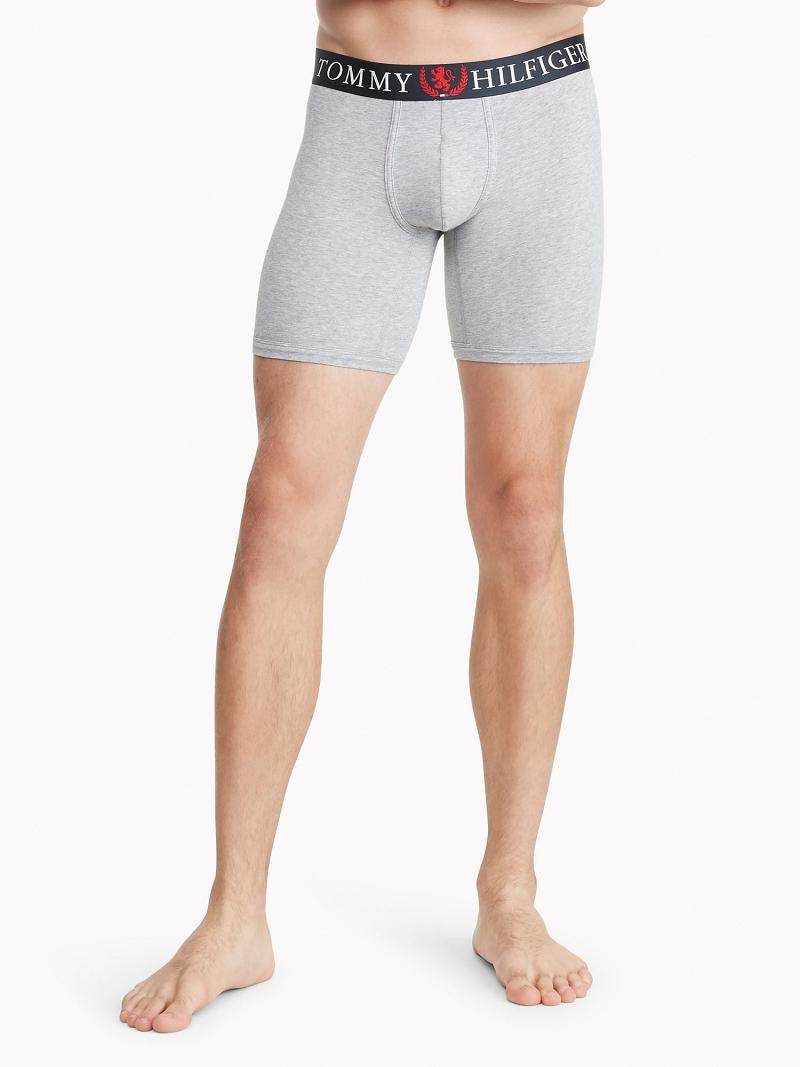 Grey Tommy Hilfiger Authentic stretch boxer brief Boxer Briefs | NZ_M31567