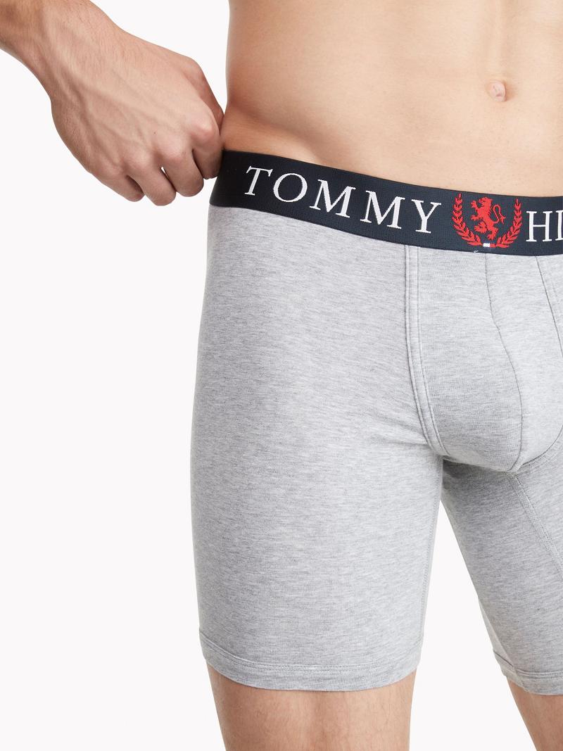 Grey Tommy Hilfiger Authentic stretch boxer brief Boxer Briefs | NZ_M31567