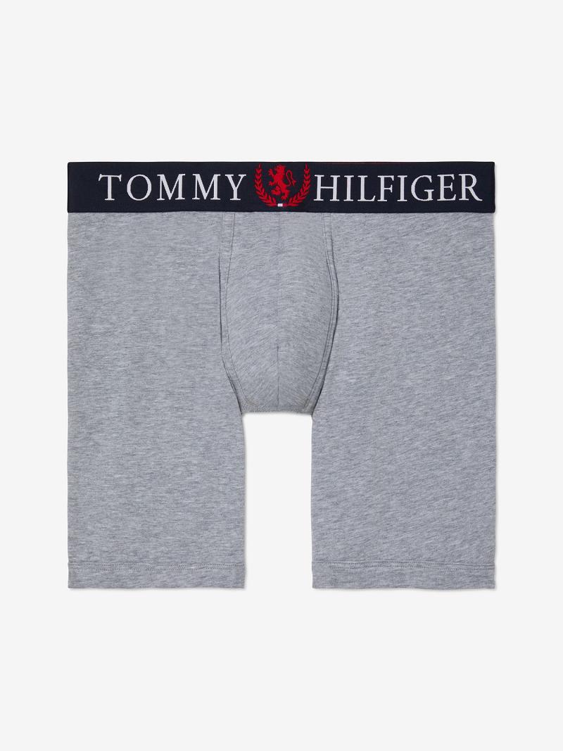 Grey Tommy Hilfiger Authentic stretch boxer brief Boxer Briefs | NZ_M31567