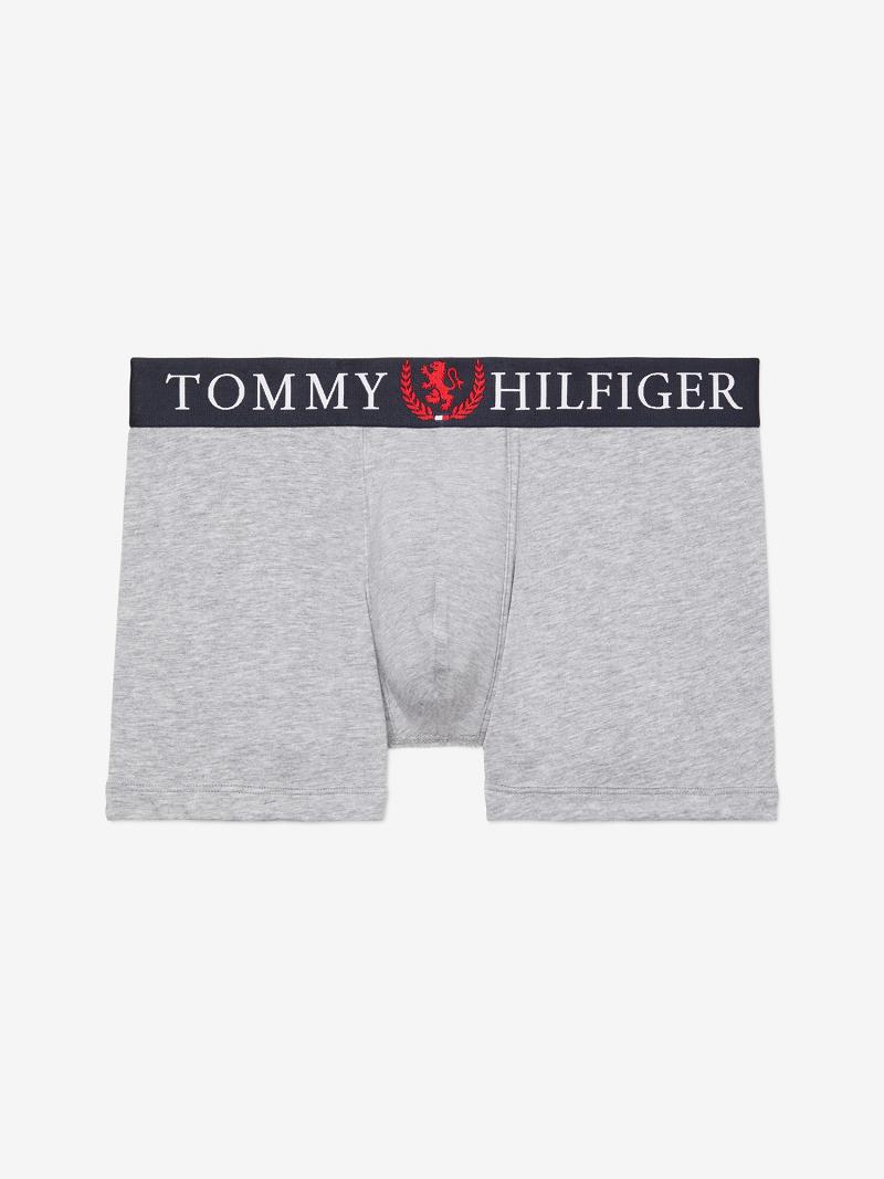 Grey Tommy Hilfiger Authentic stretch trunk Trunks | NZ_M31489