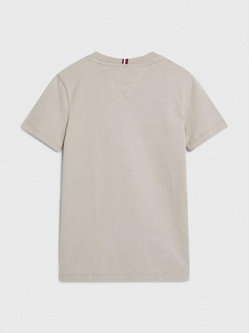 Grey Tommy Hilfiger Natural Dye T Shirts | NZ_B2198