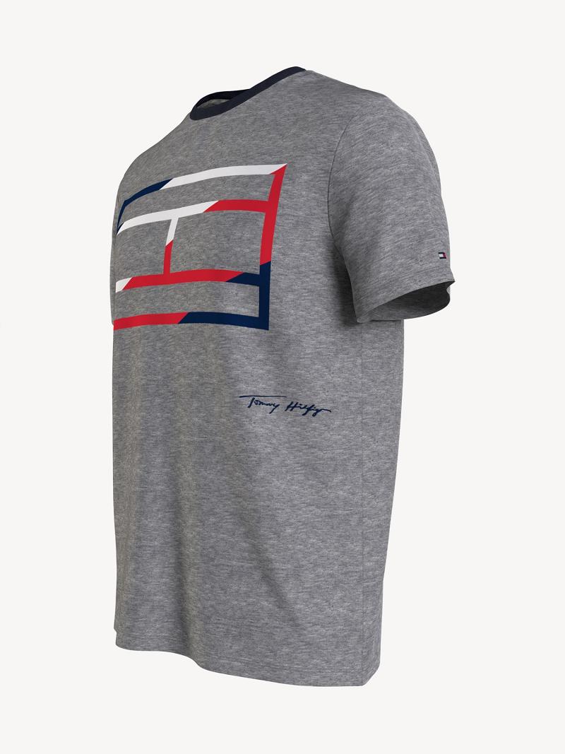 Grey Tommy Hilfiger Skeleton flag T Shirts | NZ_M31068