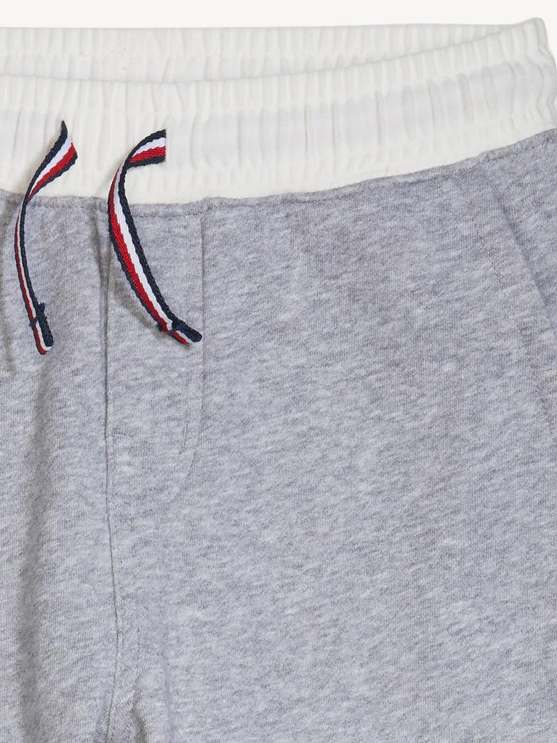 Grey Tommy Hilfiger Solid Jogger | NZ_B2058