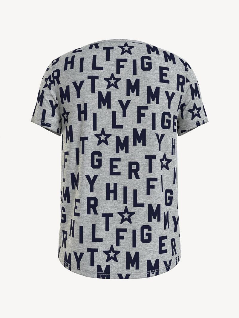 Grey Tommy Hilfiger Tommy T Shirts | NZ_G1269