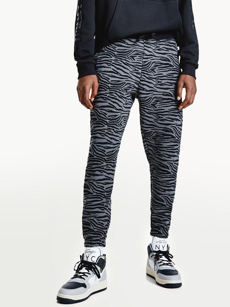 Grey Tommy Hilfiger Year of the Tiger Print Jogger | NZ_W21218