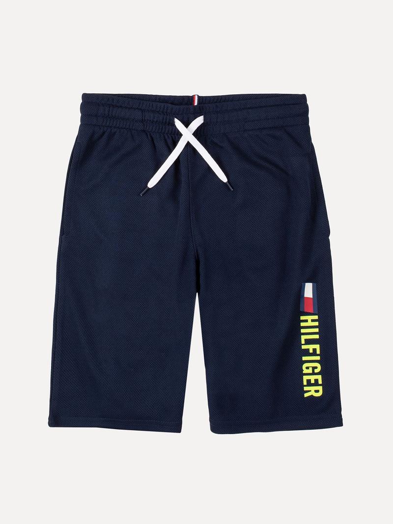 Navy Tommy Hilfiger Big Training Shorts | NZ_B2092