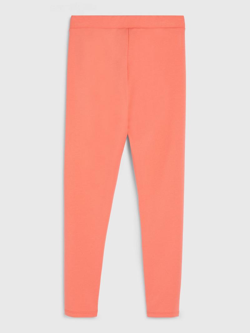 Orange Tommy Hilfiger Big Solid Leggings | NZ_G1146