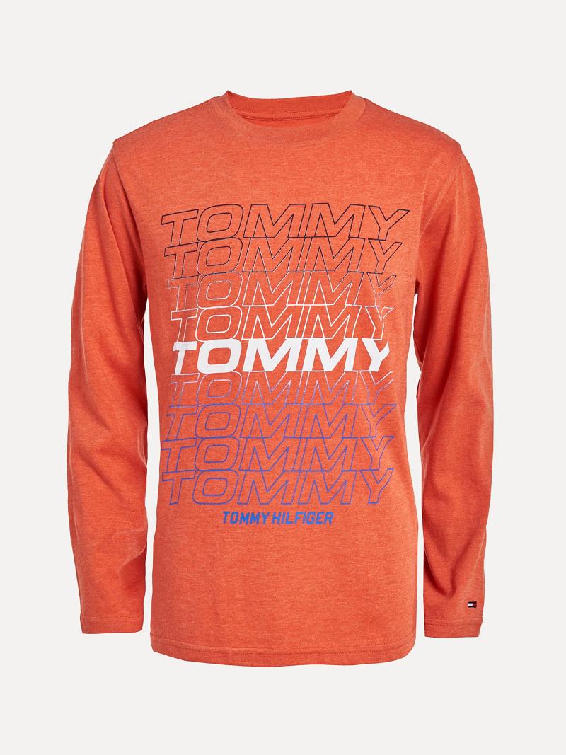 Orange Tommy Hilfiger Little Boys\' Tommy Long-Sleeve T Shirts | NZ_B2179