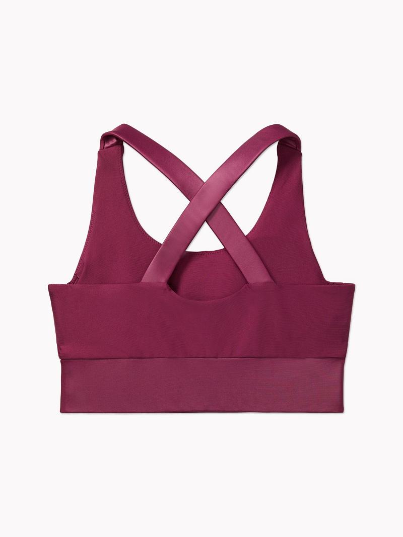 Red Tommy Hilfiger Essential Matte And Shine Sports Bras | NZ_W21518