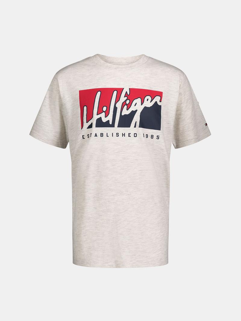 White Tommy Hilfiger Big Logo Script T Shirts | NZ_B2161