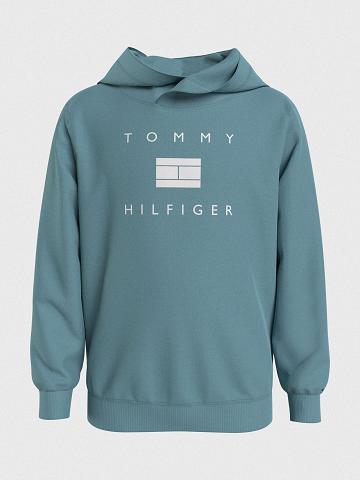 Aqua Tommy Hilfiger Hilfiger Hoodies | NZ_G1094