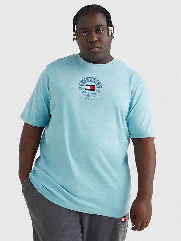 Blue Tommy Hilfiger Big and tall circle logo T Shirts | NZ_M31003