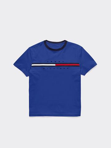 Blue Tommy Hilfiger Logo Stripe T Shirts | NZ_B2196