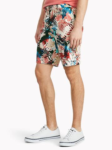 Brown / Multicolor Tommy Hilfiger Palm print 9" Shorts | NZ_M31217