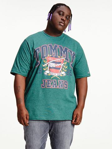 Green Tommy Hilfiger Big and tall signature collegiate T Shirts | NZ_M31006