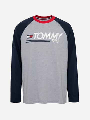 Grey Tommy Hilfiger Big Logo Raglan T Shirts | NZ_B2160