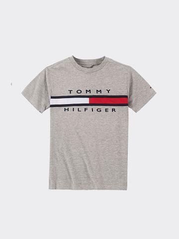 Grey Tommy Hilfiger Signature Stripe T Shirts | NZ_B2203