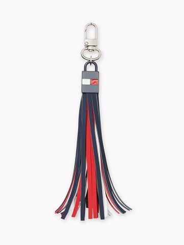 Multicolor Tommy Hilfiger Signature USB Tassel Technology | NZ_W21693