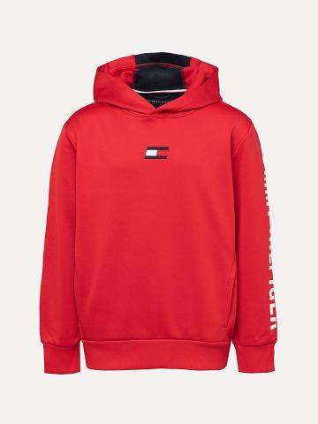 Red Tommy Hilfiger Little Icon Hoodies | NZ_B2025